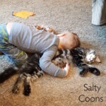 Baxter and His Human